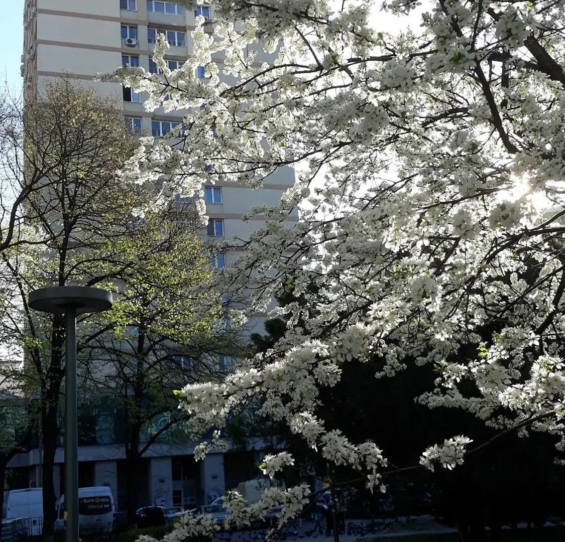 The Best Location Accommodation Bucharest